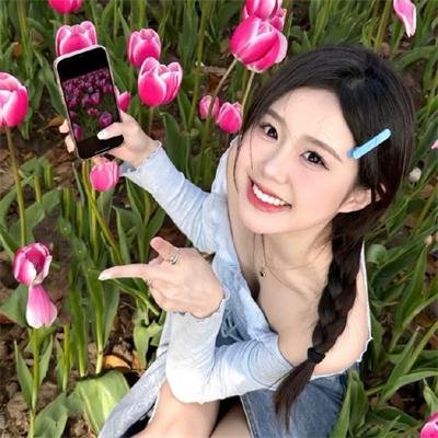 太阳花