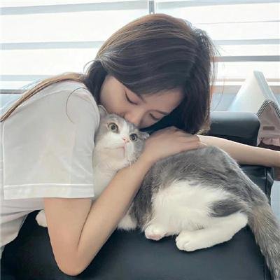 阿卡普高第四季