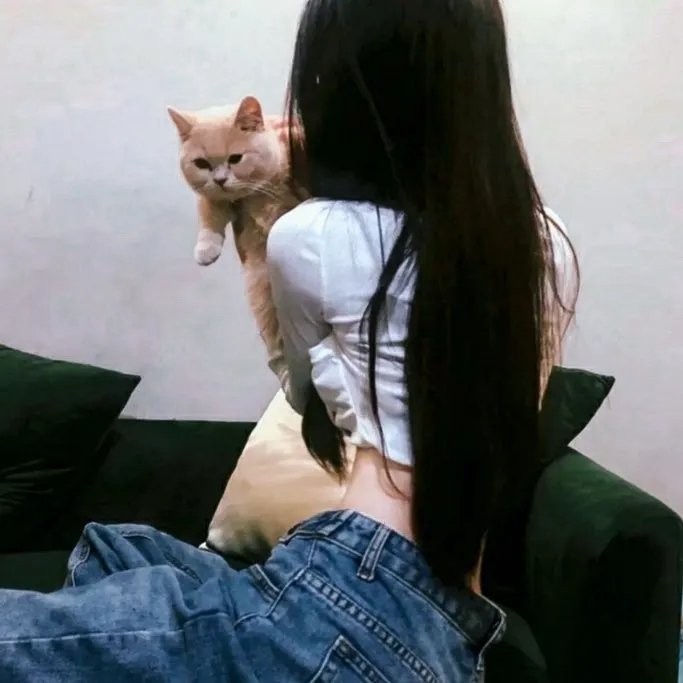 猫眼女枪手